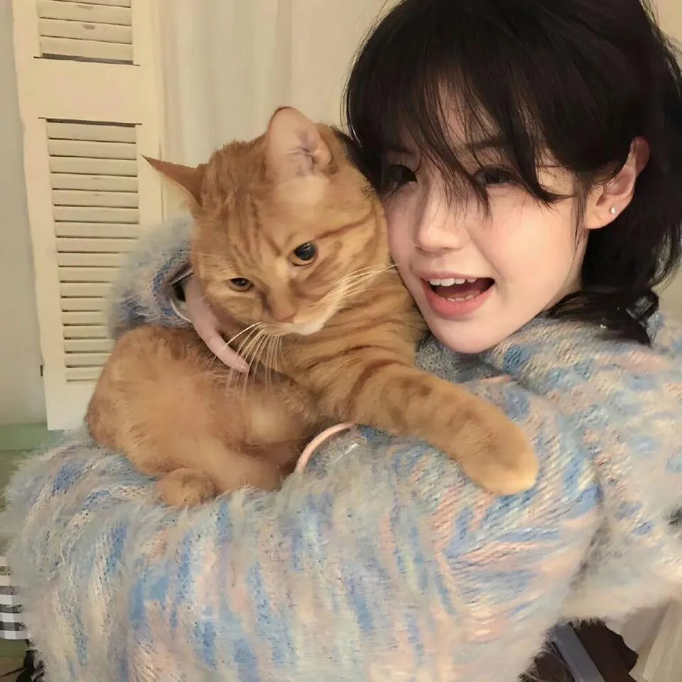 切斯纳特：中央公园的英雄